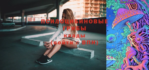 PSILOCYBIN Алексеевка