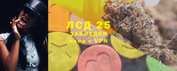 ECSTASY Алзамай